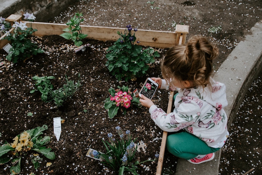 Outdoor activity family garden