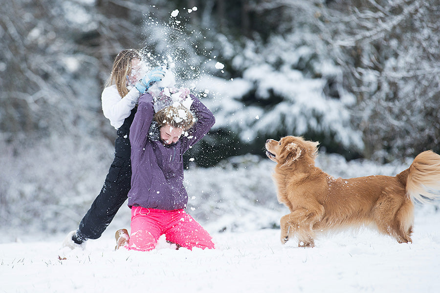 Snowball fight