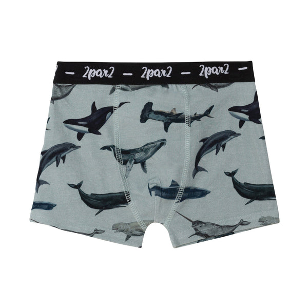 Boys' underwear and boxers (2 to 14 years)