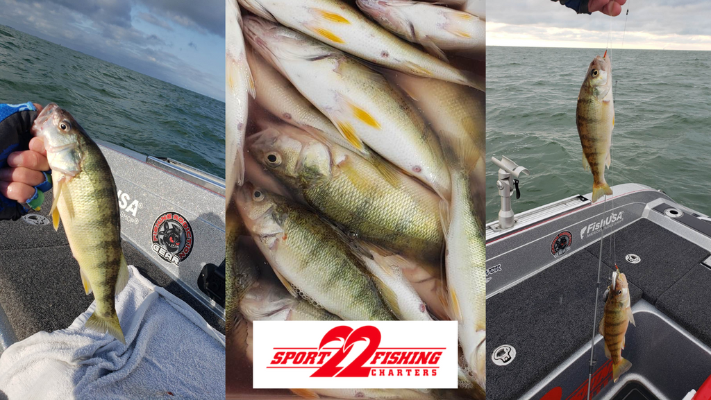 7-22-23 Lake Erie Multi-Port Fishing Report – Fishing Addiction Gear