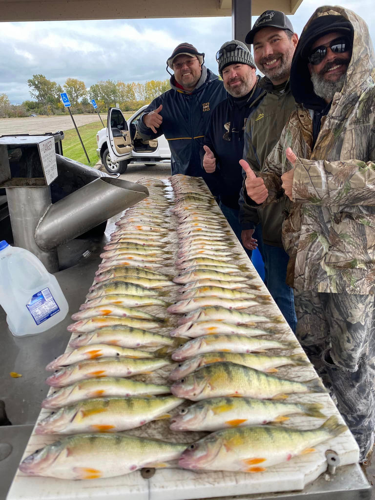 10-16-23 Lake Erie Perch Fishing Report – Fishing Addiction Gear