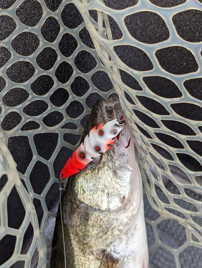 6-9-23 Lake Erie Walleye Report – Fishing Addiction Gear