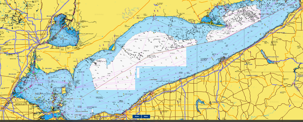 Lake Erie Perch