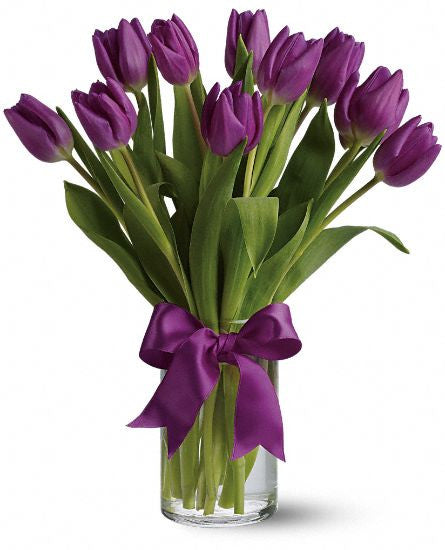 EFE115 Purple Tulips