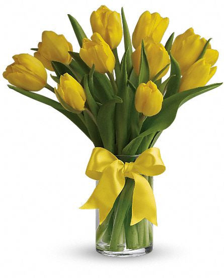 EFE113 Yellow Tulips