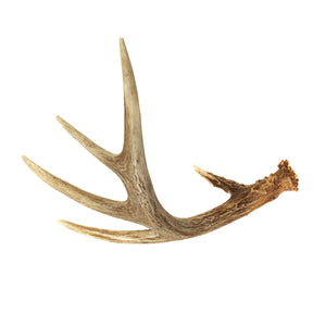 Antler Material