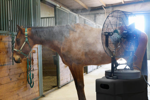 A horse cools off after a hard workout thanks to a Maxx Air misting fan. 