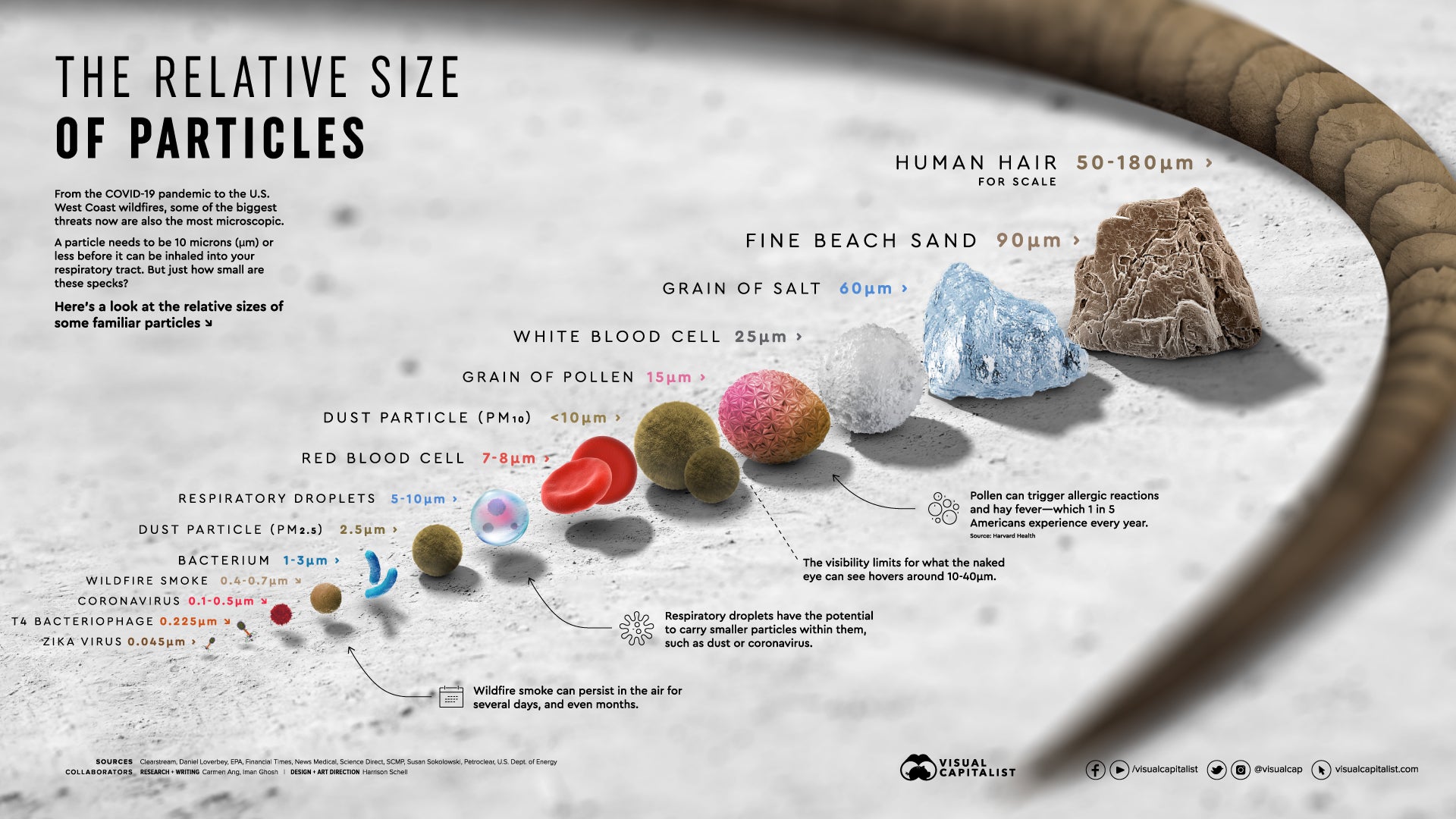 The size of some familiar particles in microns, from Visual Capitalist. 