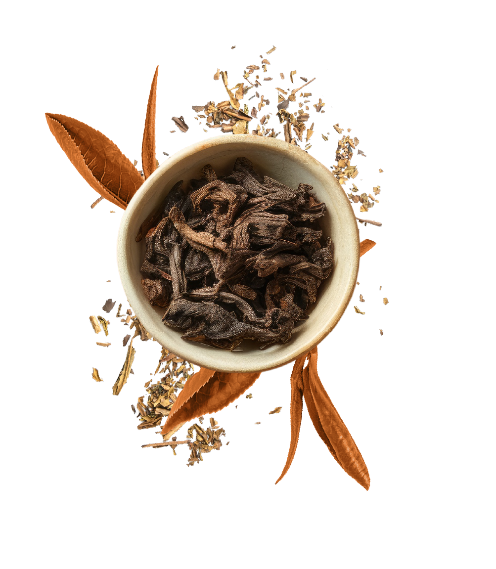 Houjicha