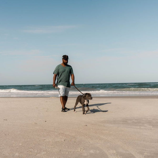 older man with a green tee, white shorts, and a black hat, walking his dog on the beach