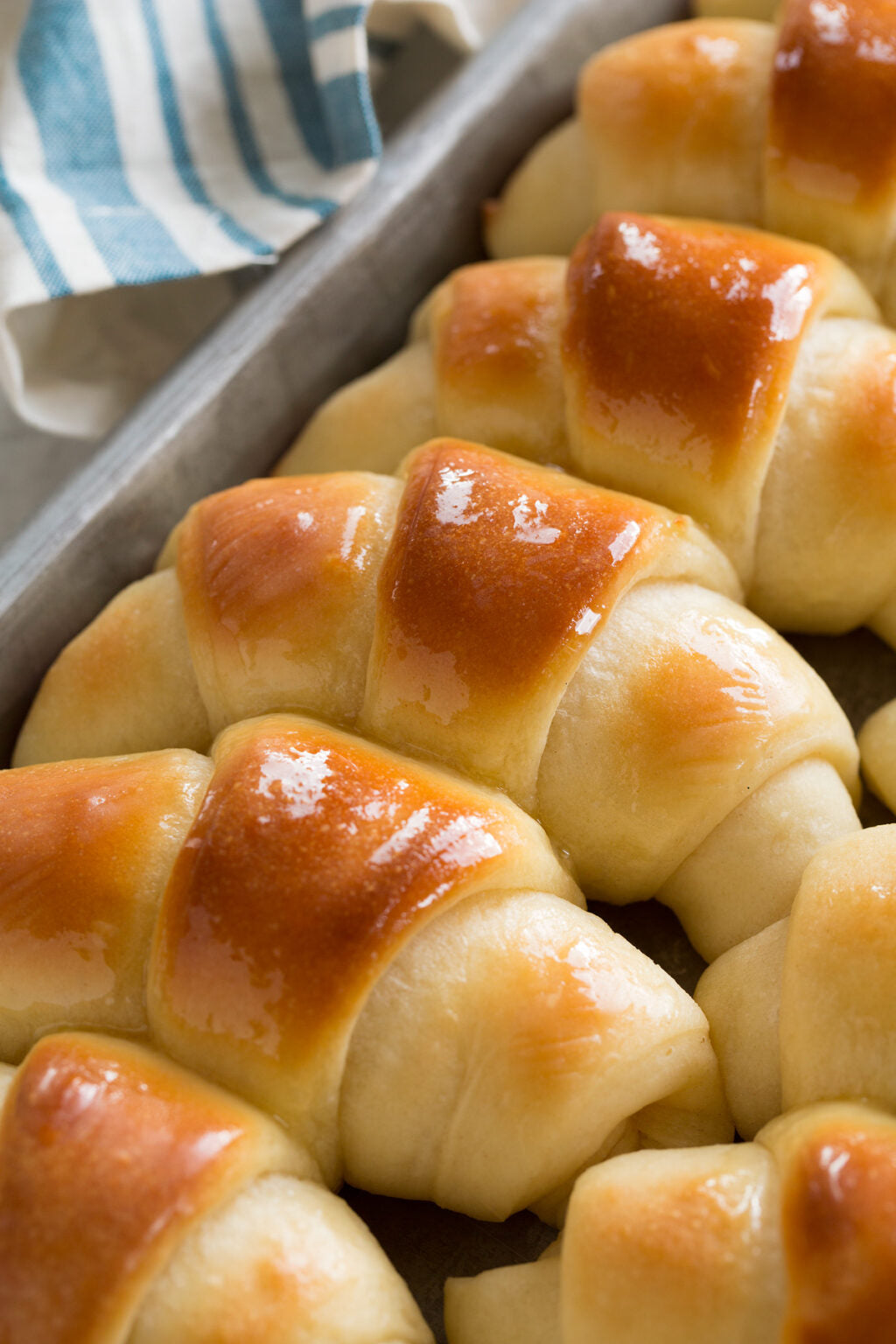 Dinner Rolls