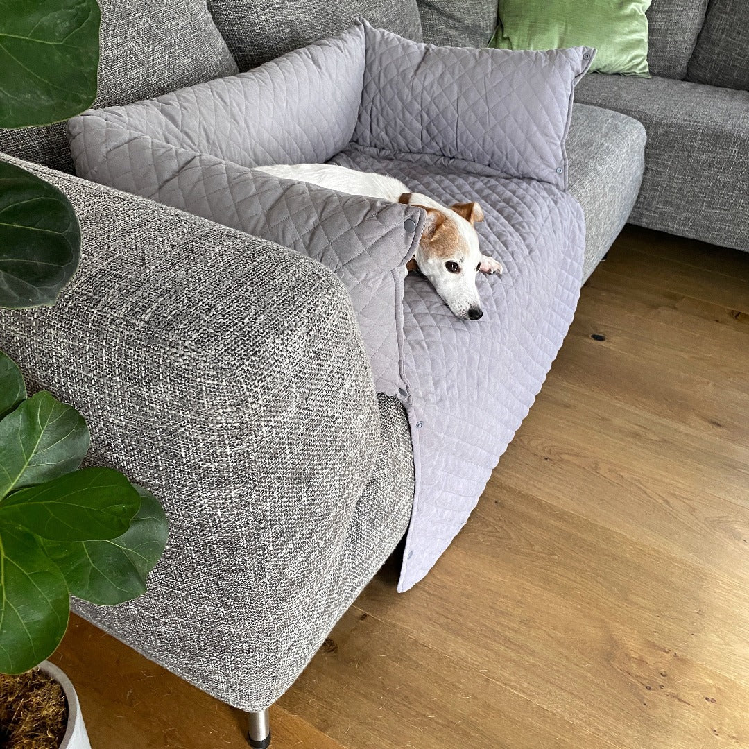 how can i protect my couch from dog hair