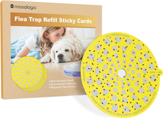  Mosalogic Updated Fly Trap Refills Sticky Card Replacement Glue  Cards for Flying Insect Trap indoor-5pack (No Device) : Industrial &  Scientific