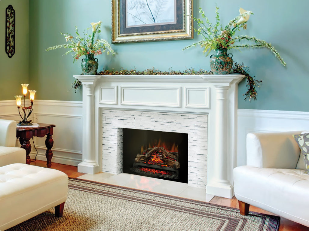 Electric Fireplace inserts