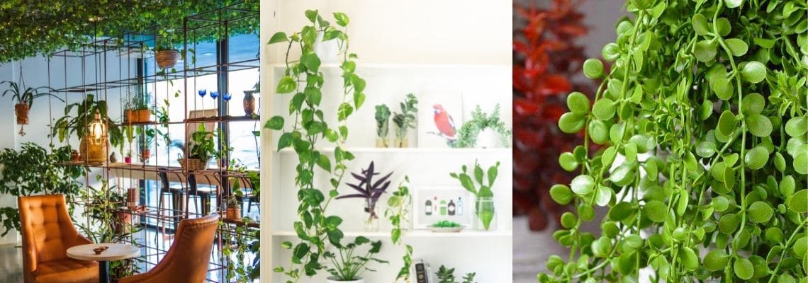 Drie ruimtes vol met kunstplanten en kunst hangplanten als urban Jungle