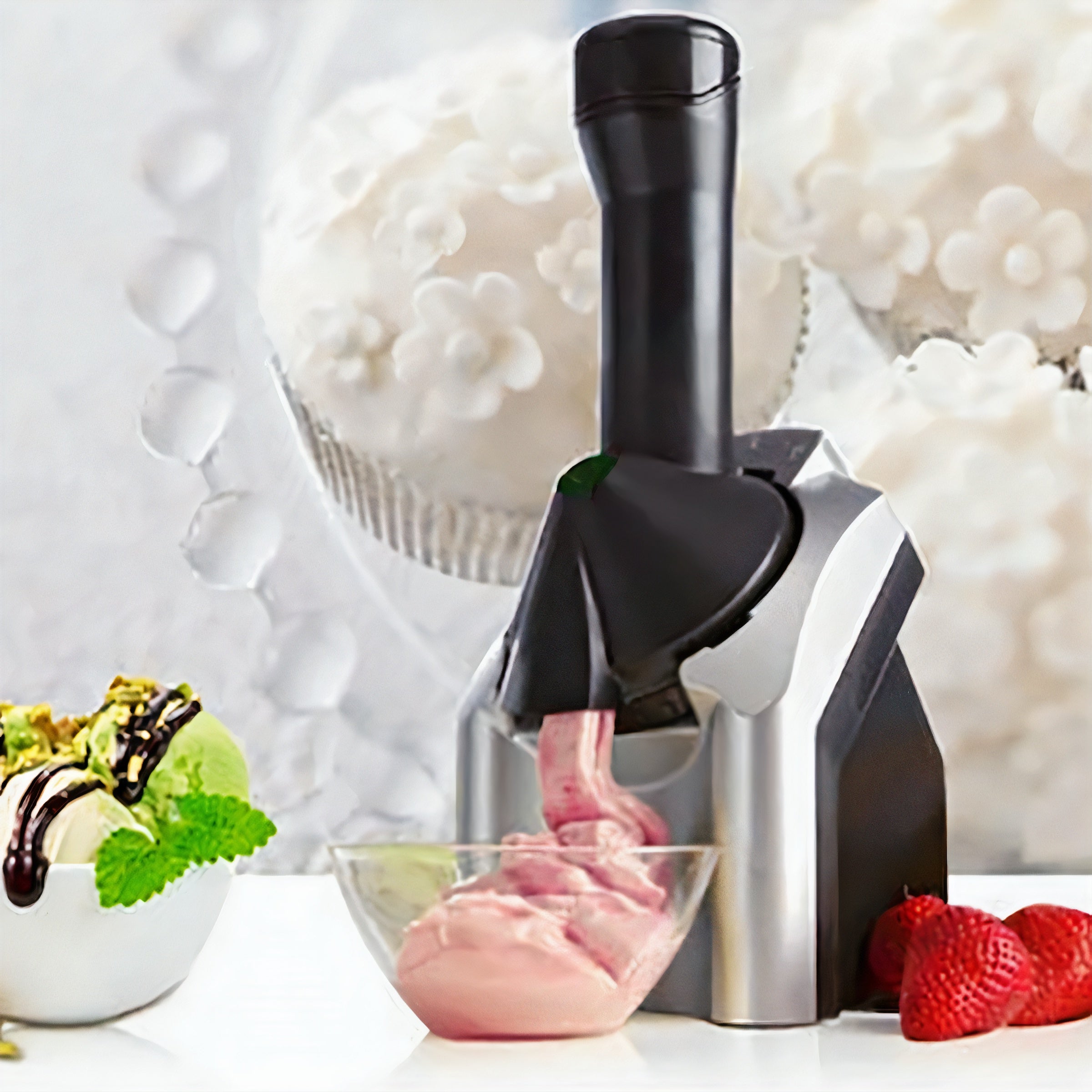 fruit ice cream maker