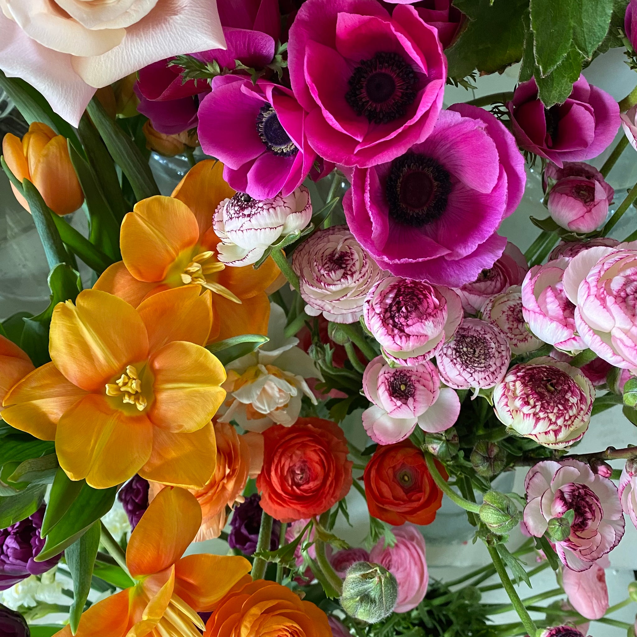 classic wrapped bouquet of roses with lush greenery