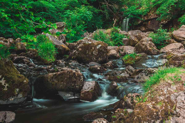 Water is one of the main ingredients in making single malt scotch whisky