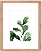 Cargar imagen en el visor de la galería, Ficus - 33 x 48 cm
