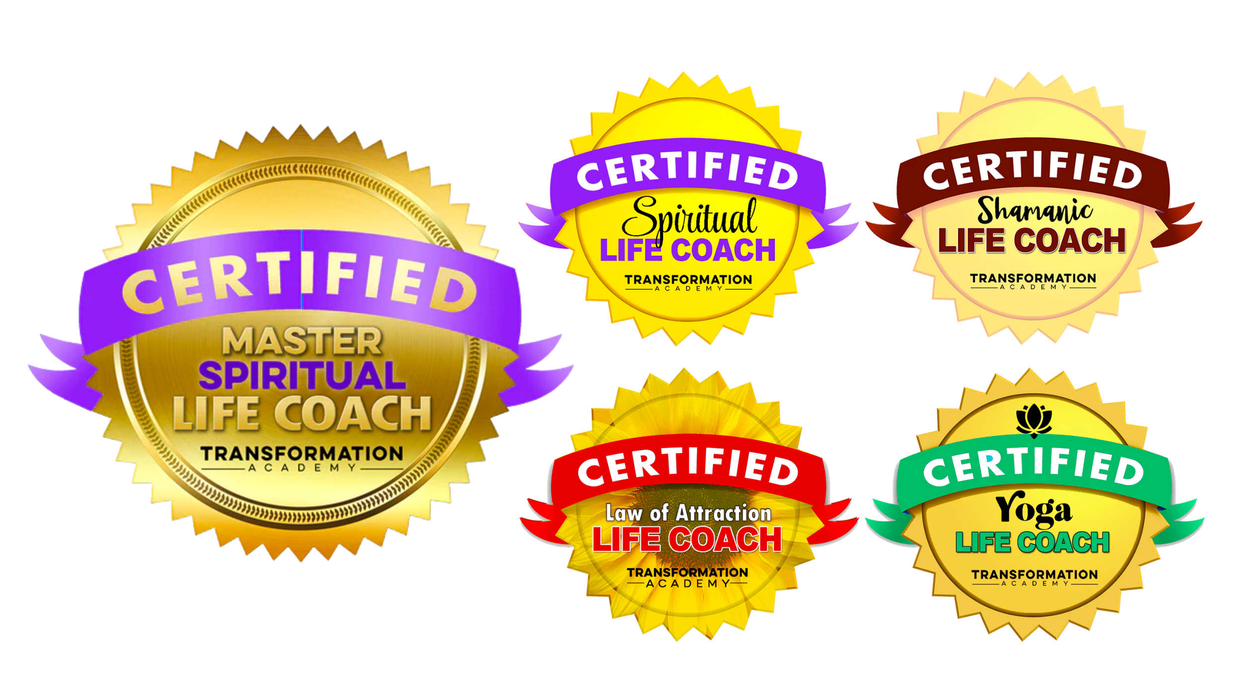 Master Spiritual Life Coach Certification Transformation Academy