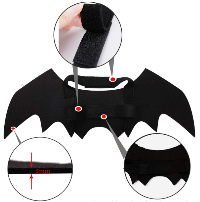 Bat Wing Pet Dog and Cat Halloween Costume – All Pet Things
