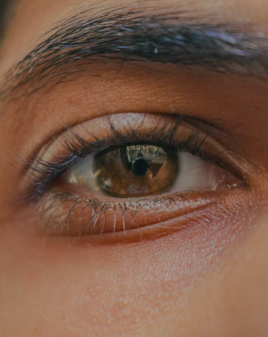 close up shot of a brown eye and eyebrow