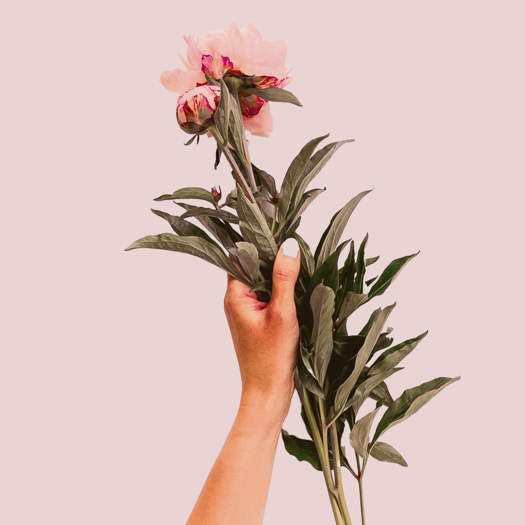 An arm holding a large pink flower with dark green stems
