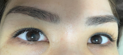 final product picture lash and brow combo the first refresh