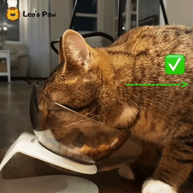 Anti-vomiting orthopedic cat bowl