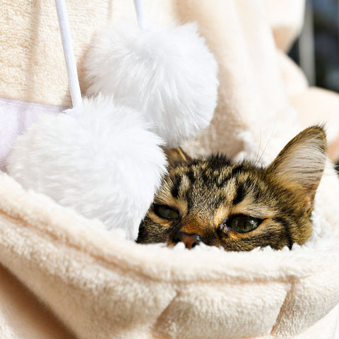 Leo's Paw Blanket Cat Hoodie Image of Cat In Blanket Cat Hoode