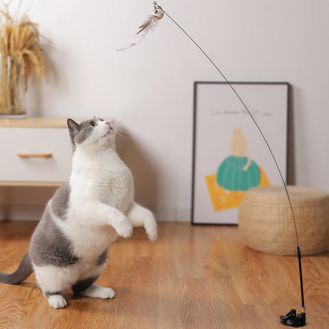 Leo's Paw - Ensemble de jouets pour oiseaux pour chats