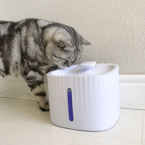 Leo's Paw Cat Water Fountain