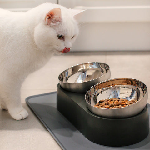 Gamelle pour chat anti-vomissements en acier inoxydable Leo's Paw