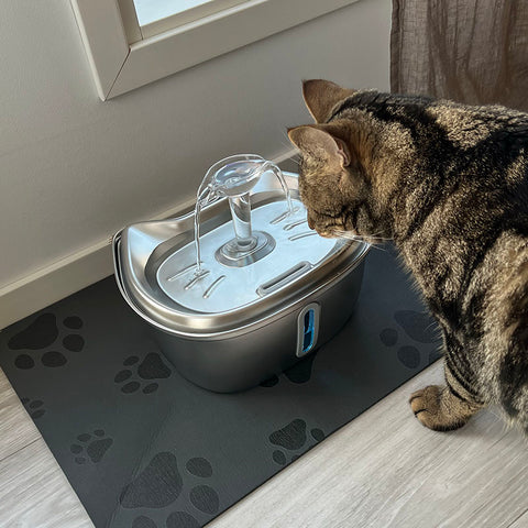 Leo's Paw - Fontaine à eau pour chat en acier inoxydable