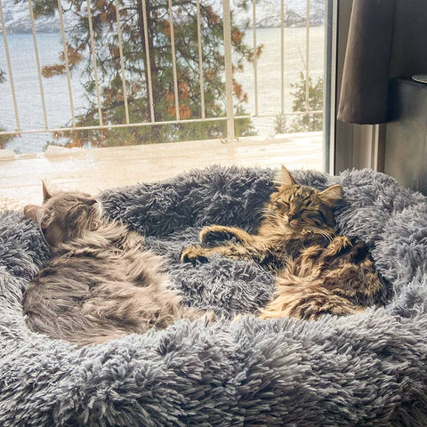 Leo's Paw Fluffy Cat Bed Dark Grey Size L