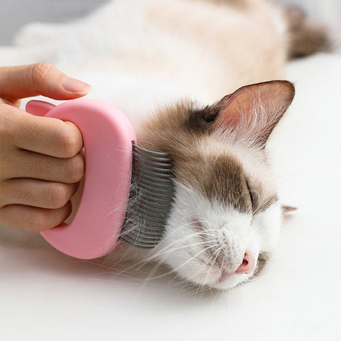 Leo's Paw Cat Hair Removal Massaging Shell Comb massaging cat while removing loose hair and tangles and knots.