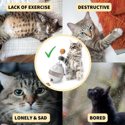 Leo's Paw – Interaktives Katzenspielzeug mit Leckerli-Spender – verhindert Langeweile, destruktives Verhalten, Angst und Traurigkeit