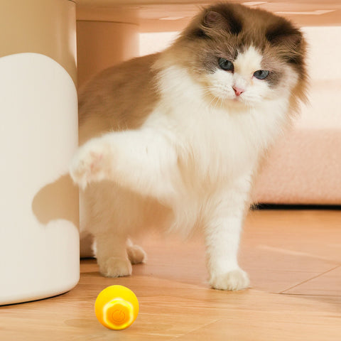 Leo's Paw - Interaktiver Katzenspielzeugball