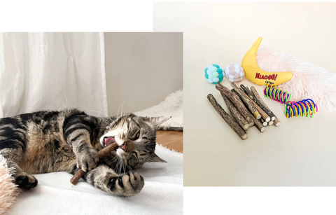Diese Spielzeuge haben Leos Leben so viel Freude bereitet, und wir sind sicher, dass sie auch Ihren Katzen Freude bereiten werden.