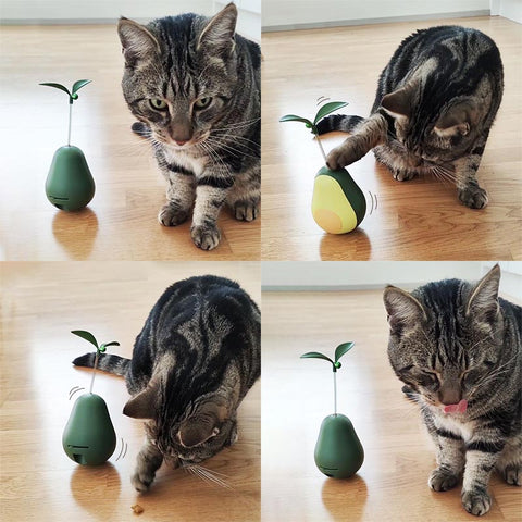 Leo's Paw - Jouet distributeur de friandises à l'avocat, jouet interactif pour chaton, meilleur jouet pour chat