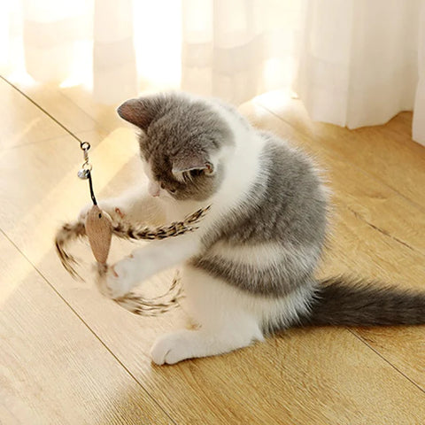 bestes Katzenspielzeug für gelangweilte Katzen
