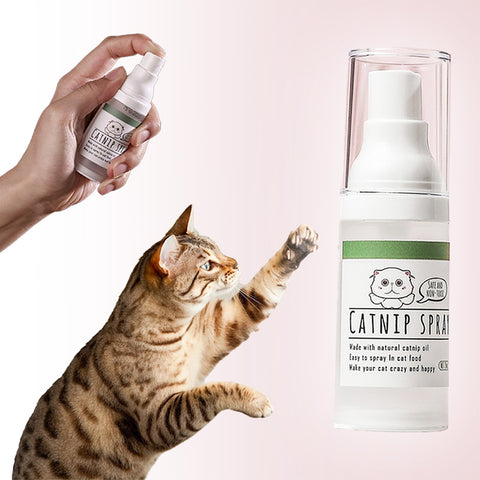 Leo's Paw - Spray d'entraînement à l'herbe à chat