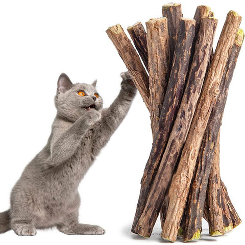 Leo's Paw - Kauspielzeug-Sticks mit Katzenminze