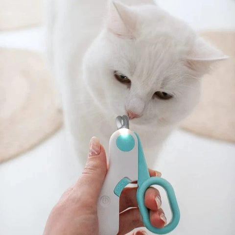 outils de toilettage pour chats