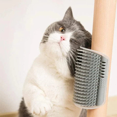 grooming tools for cats