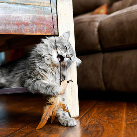 IDOGCHEW Jouet Chat Interactif Intérieur, Balle Automatique Interactive  pour Chat avec Voix d'Oiseau, Jouet Électronique pour Chat avec 3 Modes