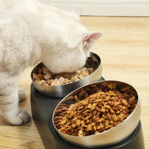 raised cat bowls