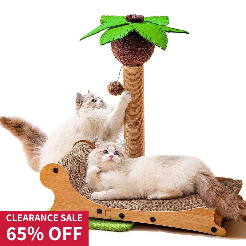 Cat Scratching Beach Lounge