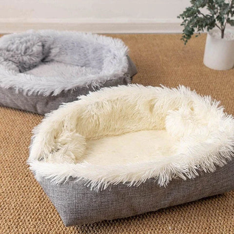 meilleur lit pour chat