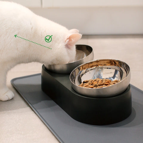 Leo's Paw Anti-Vomiting Stainless Steel Cat Bowls